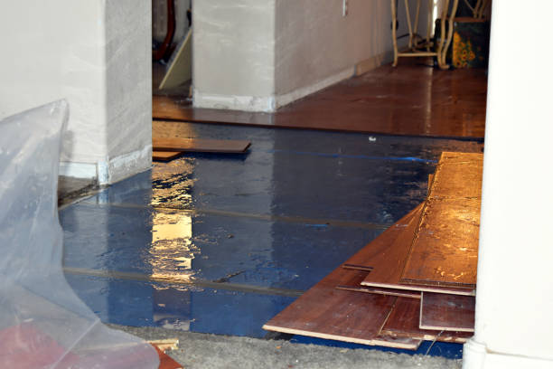 Professional Burst Pipe Cleanup technician working in Canyon Lake, CA